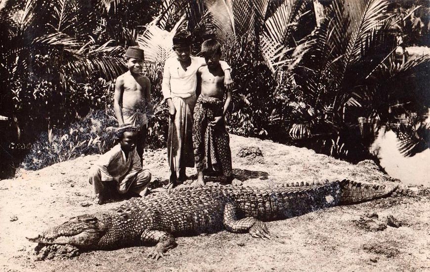 Malay Boys posing with Crocodile (Малайские мальчики позируют с крокодилом), 1928