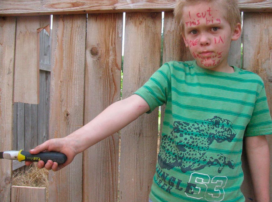 His face reads: "I cut this big hole in my mommy's fence" (На его лице написано: «Я проделал большую дыру в мамином заборе»), 2014