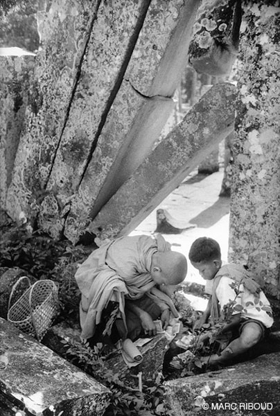 untitled, Angkor, Cambodia