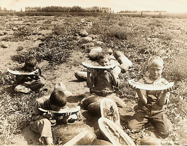 Kids Eating Melons in Field (Дети, поедающие арбузы в поле)