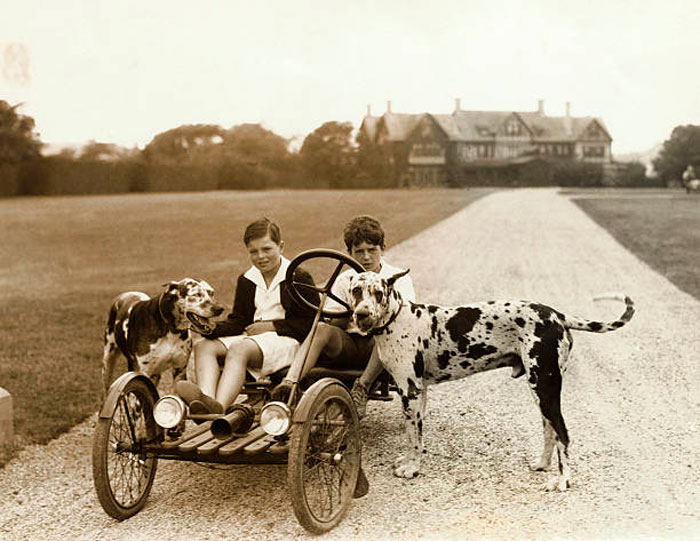 Boys Riding Motor Bike (Мальчики, катающиеся на мопеде)