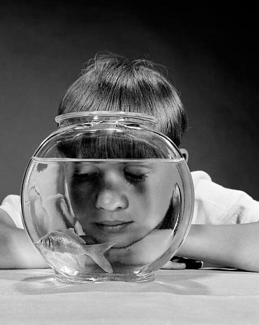 Boy watching goldfish swim in bowl (Мальчик, наблюдающий за плаванием золотой рыбки в вазе), 1970s