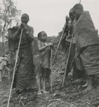 народность Бачимбири