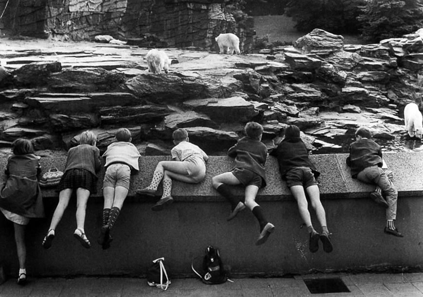 Zoo de Berlin Est (Зоопарк в Восточном Берлине), 1967