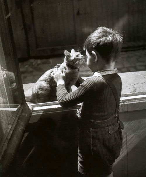 The caretaker's Cat (Кошачий сторож), 1940s