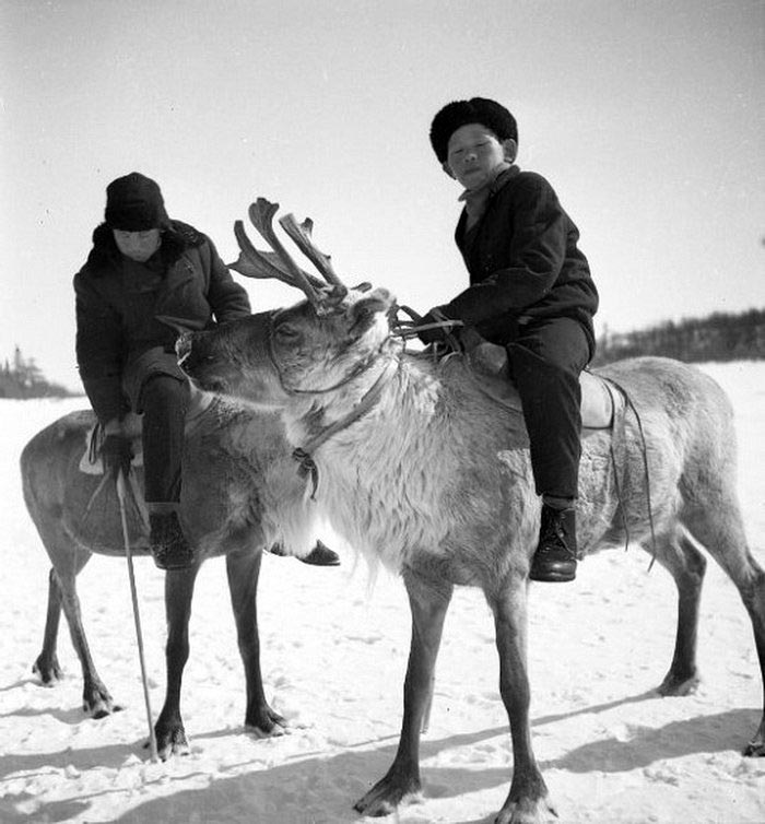 Мальчишки верхом на оленях (Boys riding deer), 1968