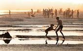 Morning on the beach