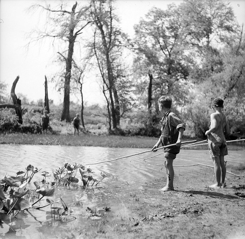 Rehabilitation client's children fishing in creek (Дети переселённых фермеров рыбачат в ручье), May 1936