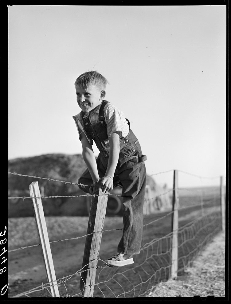 Son of Fred Schmeeckle, FSA borrower, on dry-land farm (Сын Фреда Шмикля, заёмщика FSA, на засушливой ферме), October 1939