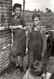 Part of the family of a migrant fruit worker from Tennessee, camped near the packinghouse, Jan.1937