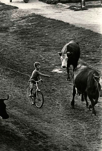 Велопастушок (A shepherdboy on a bicycle), 1976