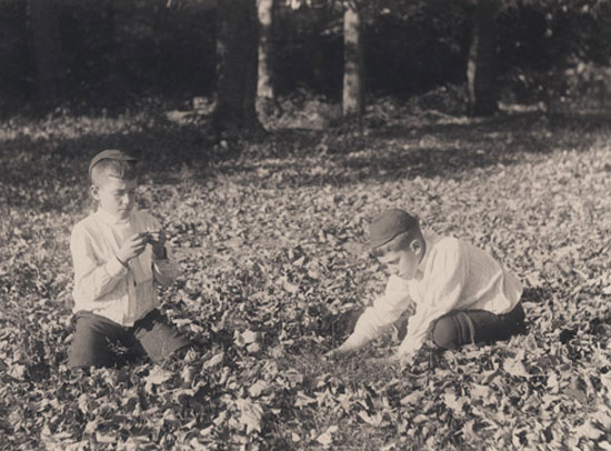 Boys playing in leaves (Мальчики, играющие в листве), 1910