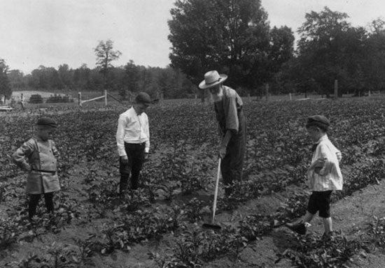 Cleaning potatoes (Прополка картофеля), 1907