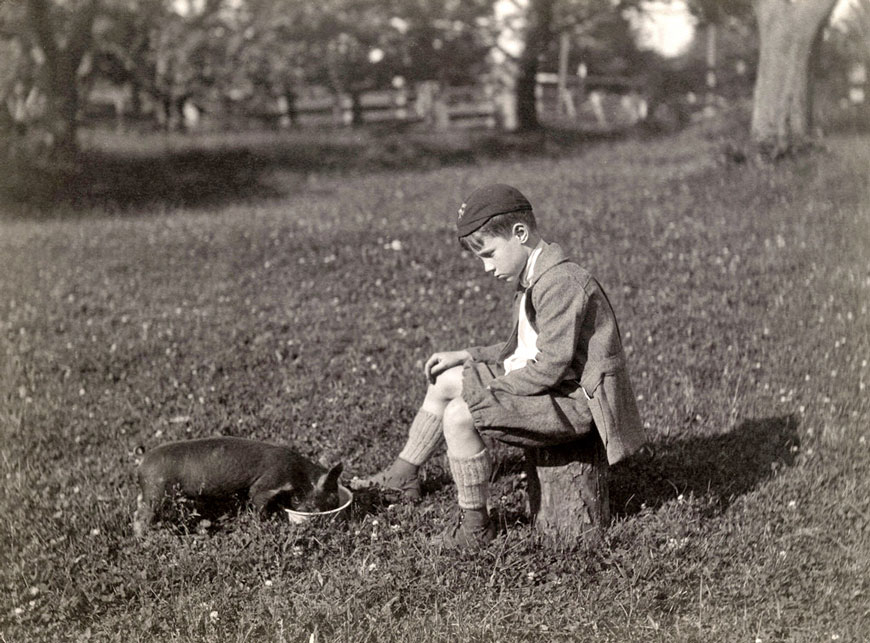 Feeding pig (Кормление поросёнка), 1922