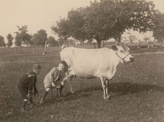 Milking the cow (Дойка коровы), 1922