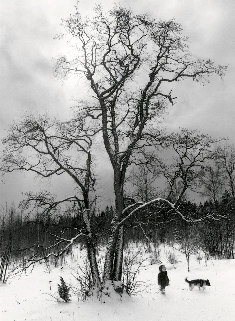 Untitled / Dog and boy under tree / Без названия / Собака и мальчик под деревом], 1981