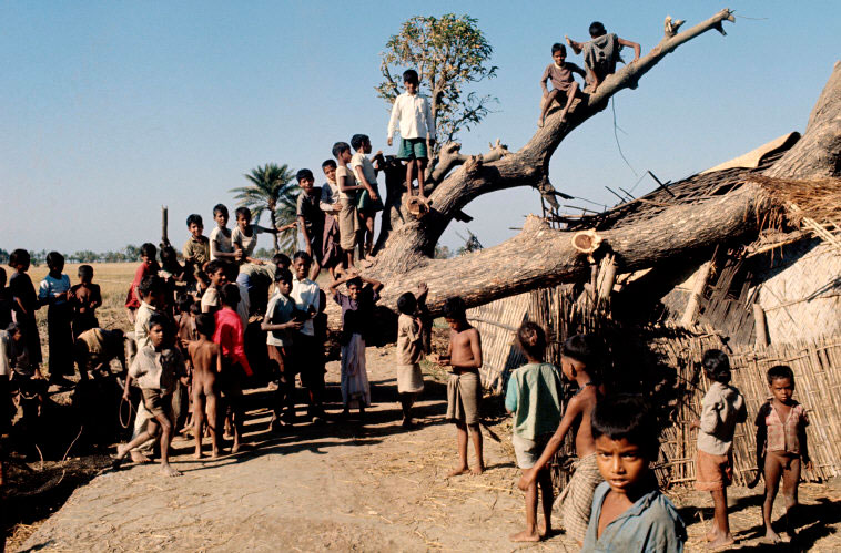 Children on a tree (Дети на дереве), 1970s