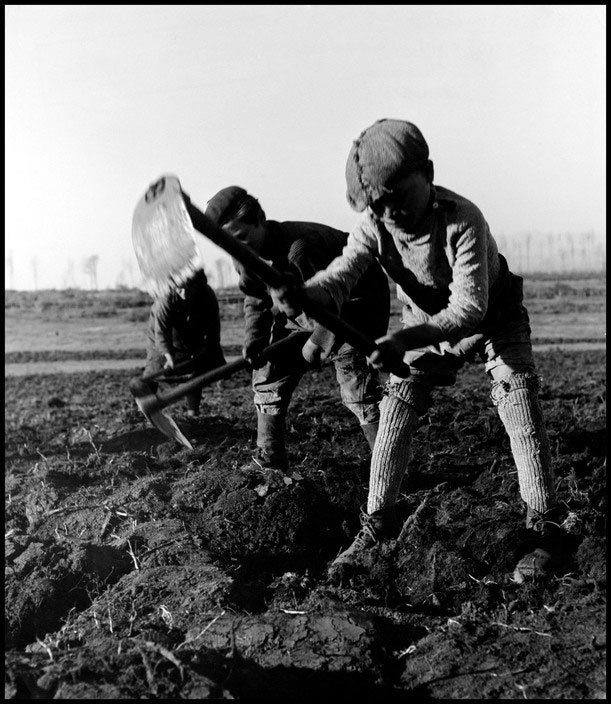 Children hoeing (Дети с мотыгами), 1948