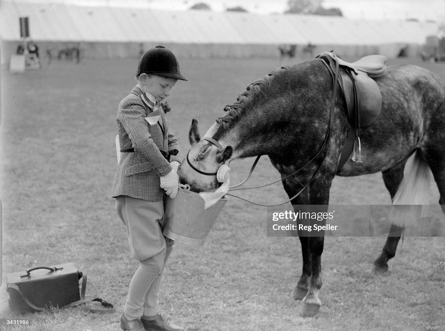 Junior Show Jumper (Юный конкурист), 1938