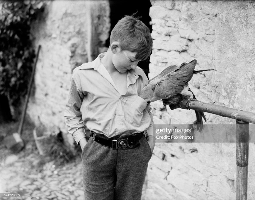 Making Friends (Заводя друзей), 23 August 1941