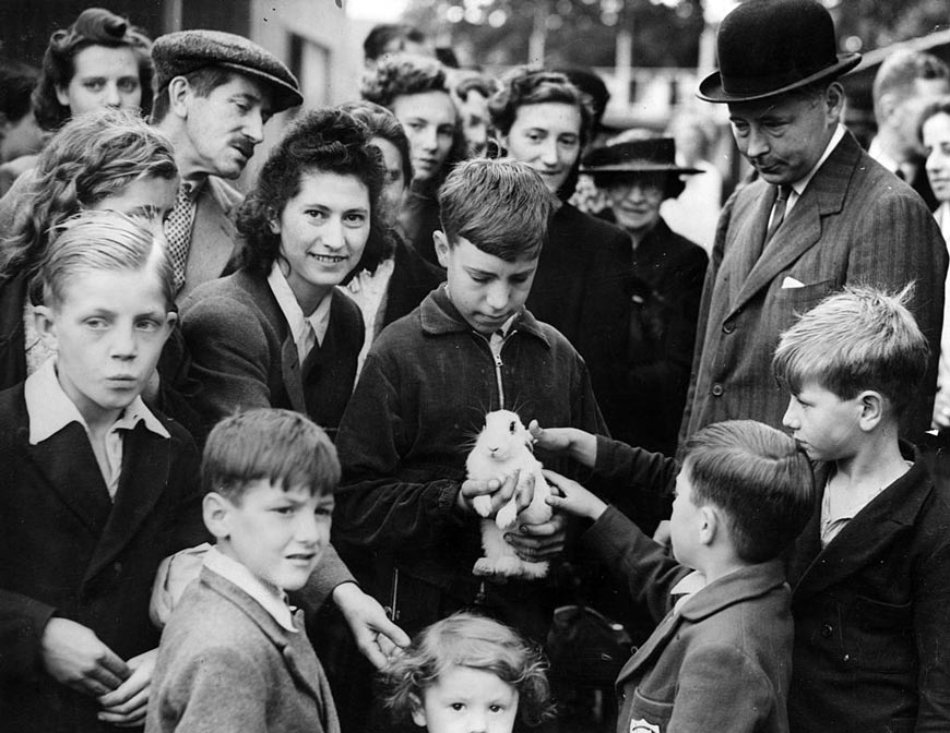 Rabbits And Rations (Кролики и рацион), 1942