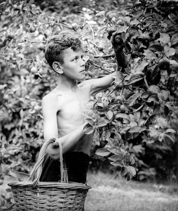 School Hairdresser (Школьный парикмахер), 1939