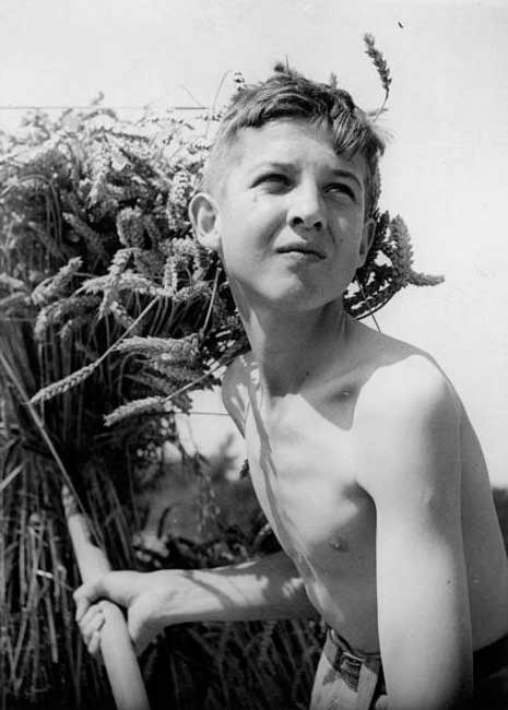 Schoolboy Farmer (Школьный фермер), 1943