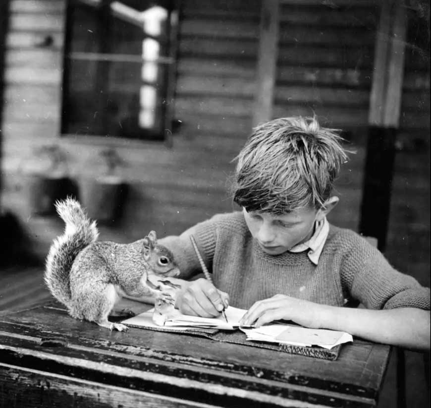 Pet Squirrel (Домашняя белка), 1944