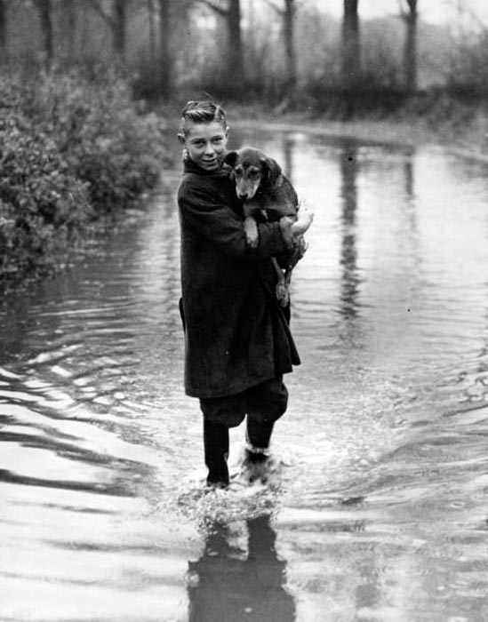 Flooded Road (Затопленная дорога), 1946