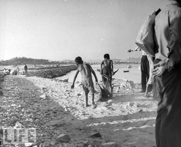 Two native boys dragging dinner home (Два туземных мальчика несут домой ужин), Sep.1950