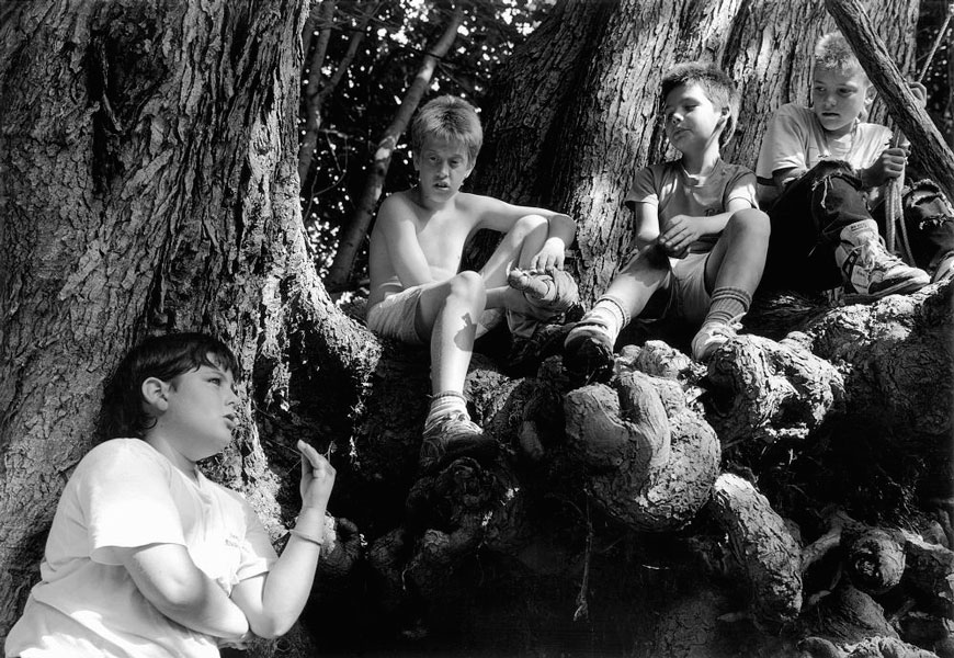 Boys Around Tree Trunk (Мальчики на стволе дерева), 1990