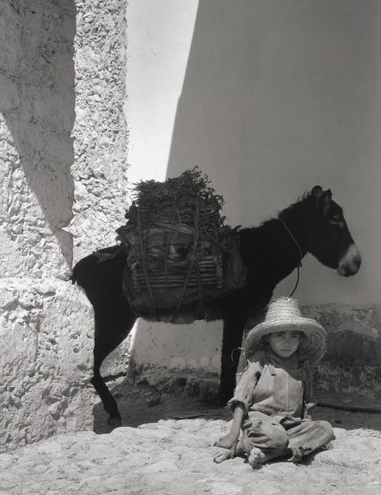 Boy and donkey (Мальчик и ослик), 1933