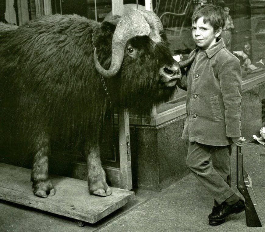 title unknown (название неизвестно)