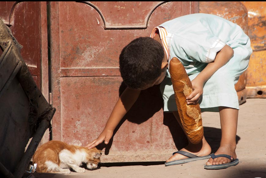 THE BOY XXI * МАЛЬЧИК XXI