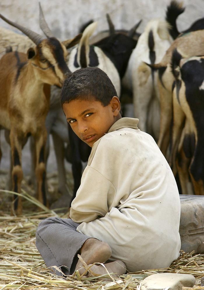 THE BOY XXI * МАЛЬЧИК XXI