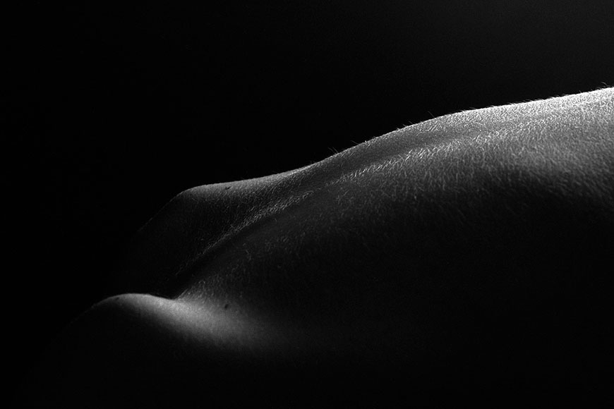 from series 'BODY PARTS' * из серии 'ЧАСТИ ТЕЛА'