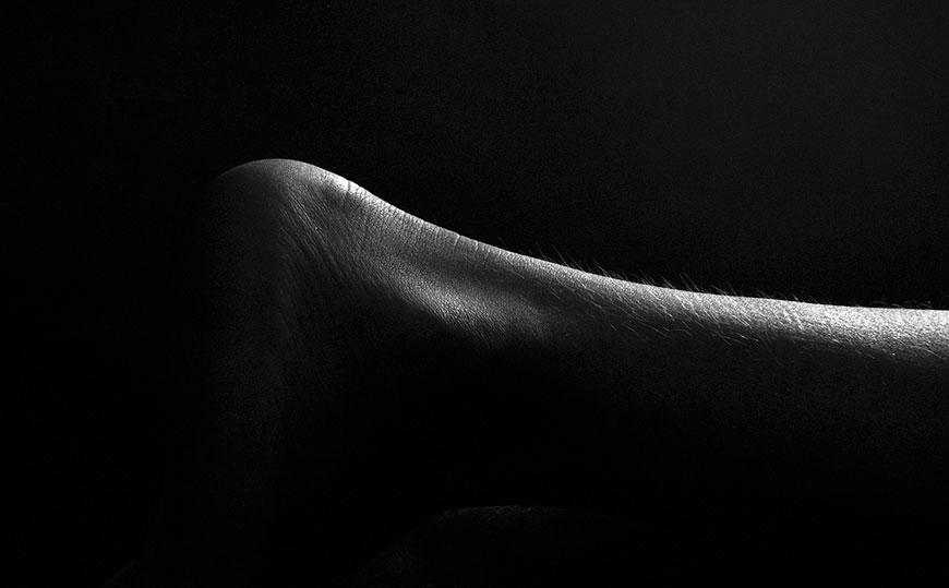 from series 'BODY PARTS' * из серии 'ЧАСТИ ТЕЛА'