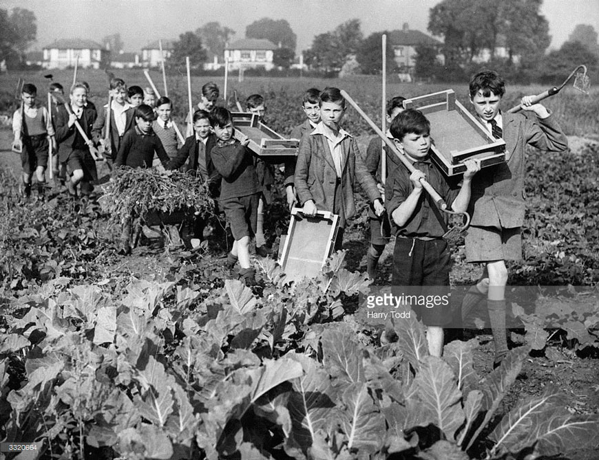 Digging For Victory (Копаем ради победы!), 9th October 1941