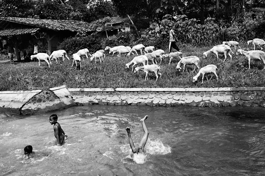 from series SUGAR TOWN. Java, Indonesia * из серии САХАРНЫЙ ГОРОД. Ява, Индонезия