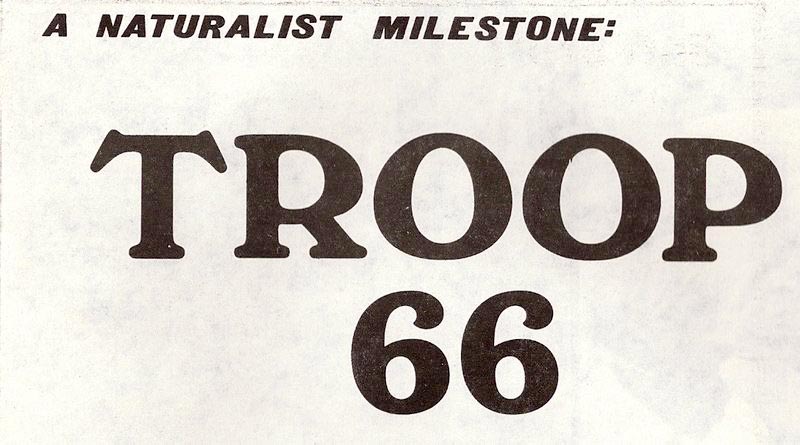 TROOP 66 * ОТРЯД 66