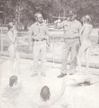 TROOP 66 * ОТРЯД 66