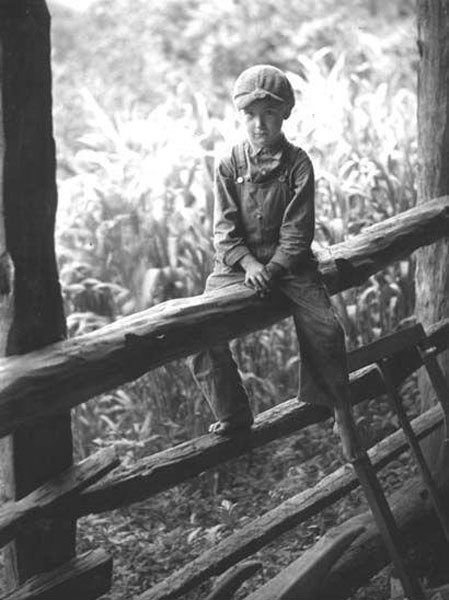 Hipps child; boy perched on rail fence (Ребёнок Хиппсов; мальчик, сидящий на ограждении), 1934