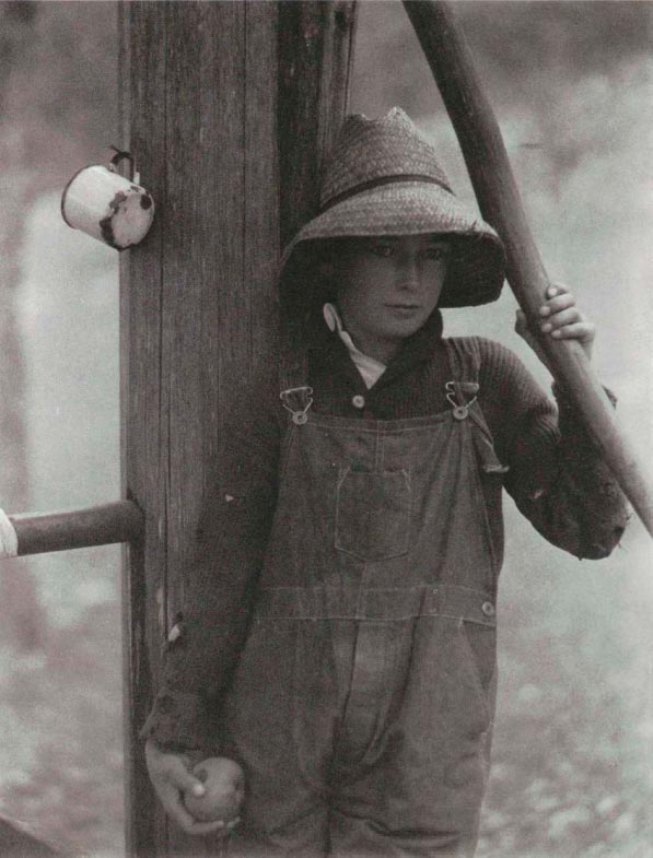 Portrait of a Young Boy (Портрет мальчика)