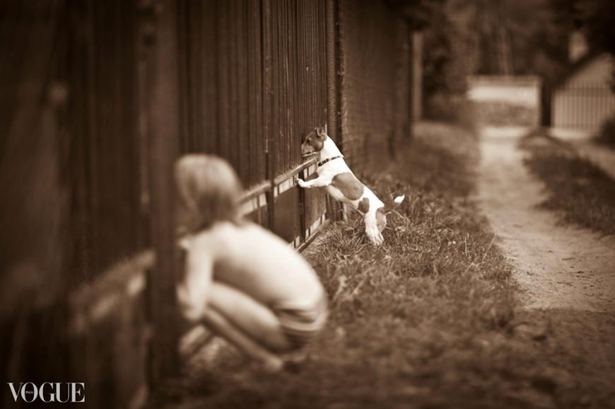 Curiosity (Любопытство)