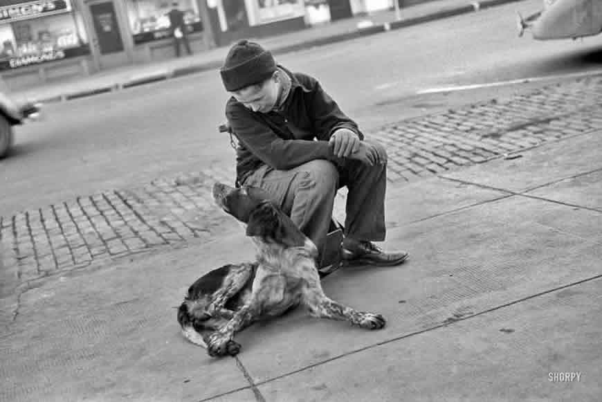 Boy with dog (Мальчик и собака), Nov.1938