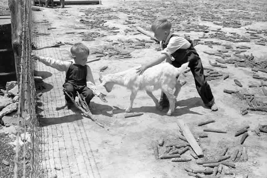 Children of FSA (Farm Security Administration) tenant purchase borrower with pet goat (Дети заёмщика ФСА со взятой в аренду козой), May 1940