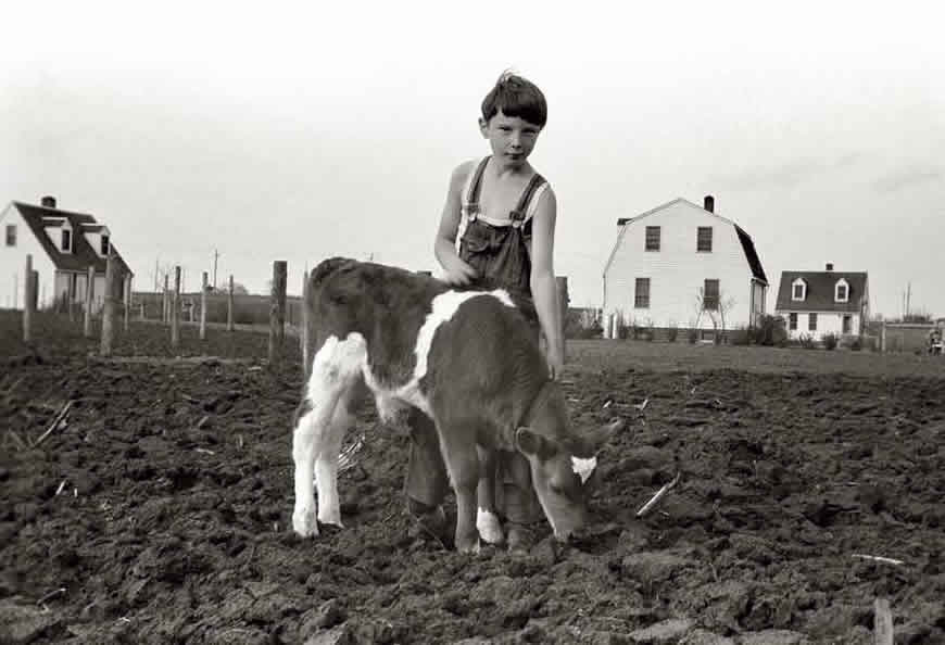 Coal miner's son at Granger Homesteads (Сын шахтёра из усадьбы Гранджер), May 1940