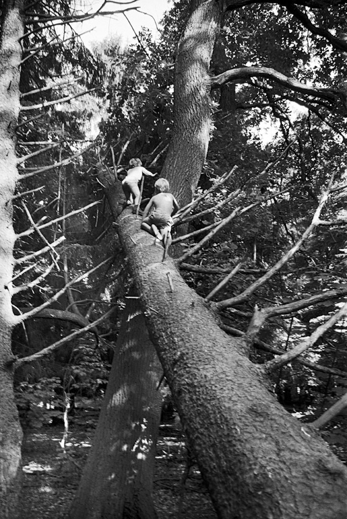 from book EASTER AND OAK TREES * из книги ПАСХА И ДУБЫ, 1970-1980s (2013)