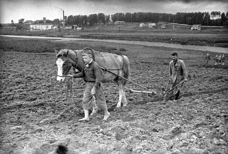 «В детдоме все делают сами, и землю пашут» («In the orphanage they do everything themselves, they plow the land themselves»), 1942