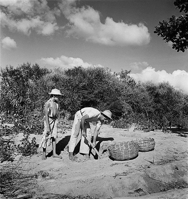 Pernambuco, Brasil, 1947